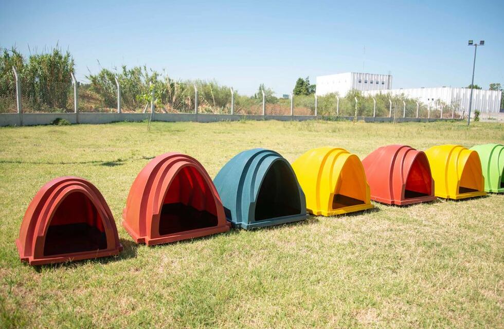 Perritos protegidos del calor: el Imusa contará con cuchas de PVC