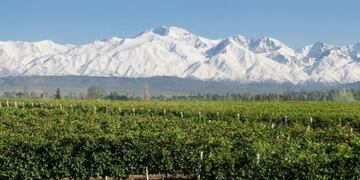 La ciudad de Mendoza ofrece un free walking tour para festejar su aniversario n°460