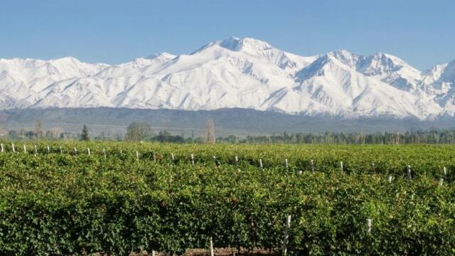 La ciudad de Mendoza ofrece un free walking tour para festejar su aniversario n°460
