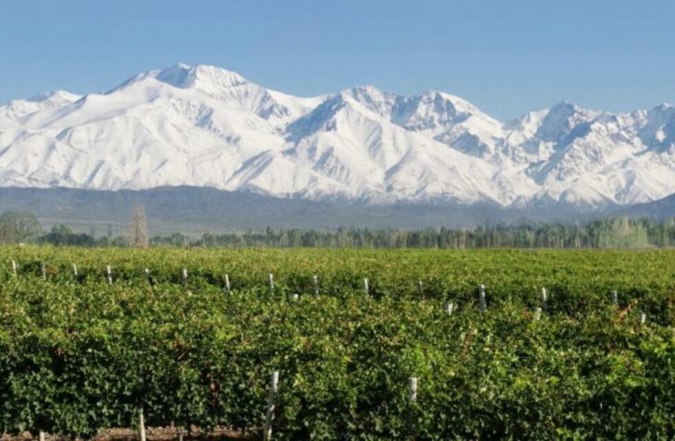 Mendoza, entre los destinos más buscados para las vacaciones de invierno
