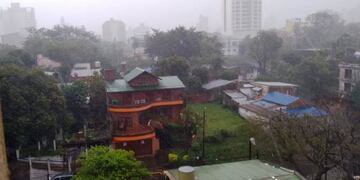 También se registraron otros daños en zona centro y alrededores, como caídas de árboles y ramas.