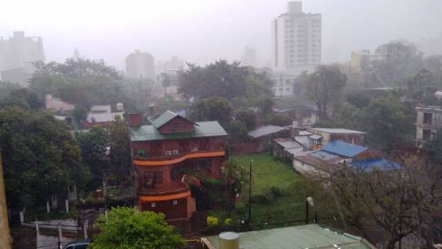 También se registraron otros daños en zona centro y alrededores, como caídas de árboles y ramas.