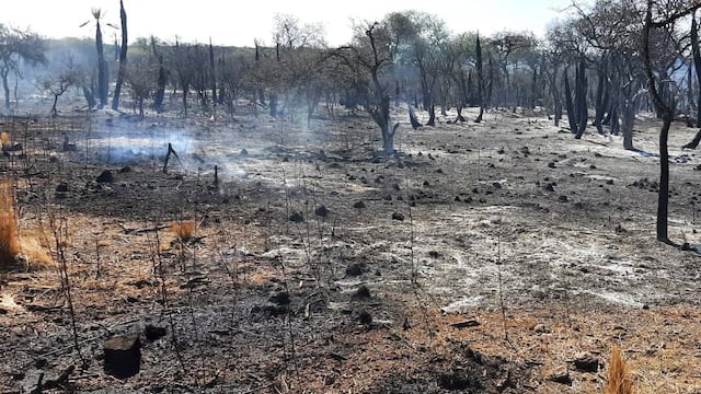 Peligro de incendio extremo. (Foto gentileza Gobierno de Córdoba)