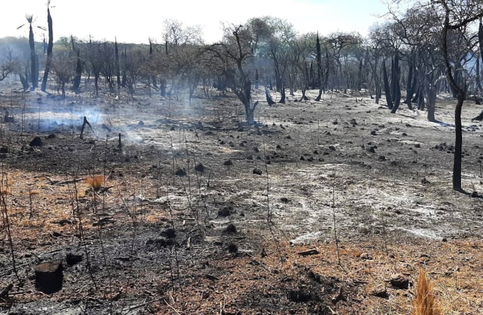 Ola de calor y riesgo extremo de incendio en Córdoba: cuatro claves para evitar el fuego