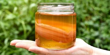 Kombucha