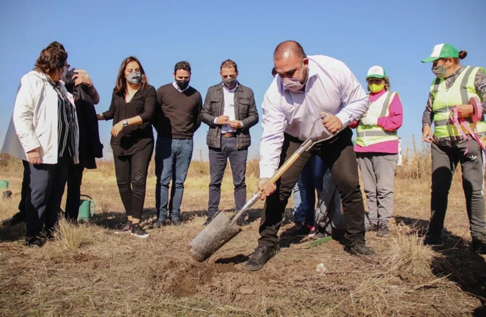 Villa Mercedes: Plantan más de 4.000 árboles a la vera de la ex Ruta 7