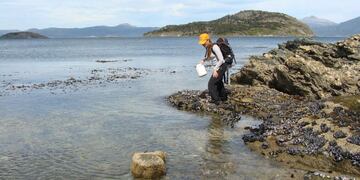 A través de redes sociales, se estrenará el segmento audiovisual “Mirá Mirá!”