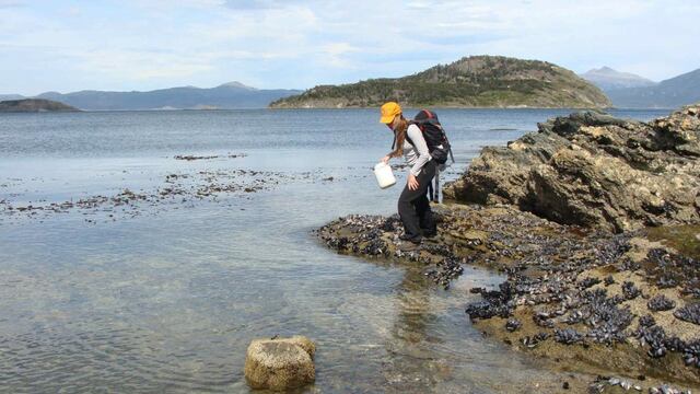 A través de redes sociales, se estrenará el segmento audiovisual “Mirá Mirá!”