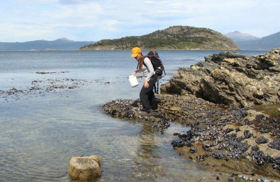 A través de redes sociales, se estrenará el segmento audiovisual “Mirá Mirá!”