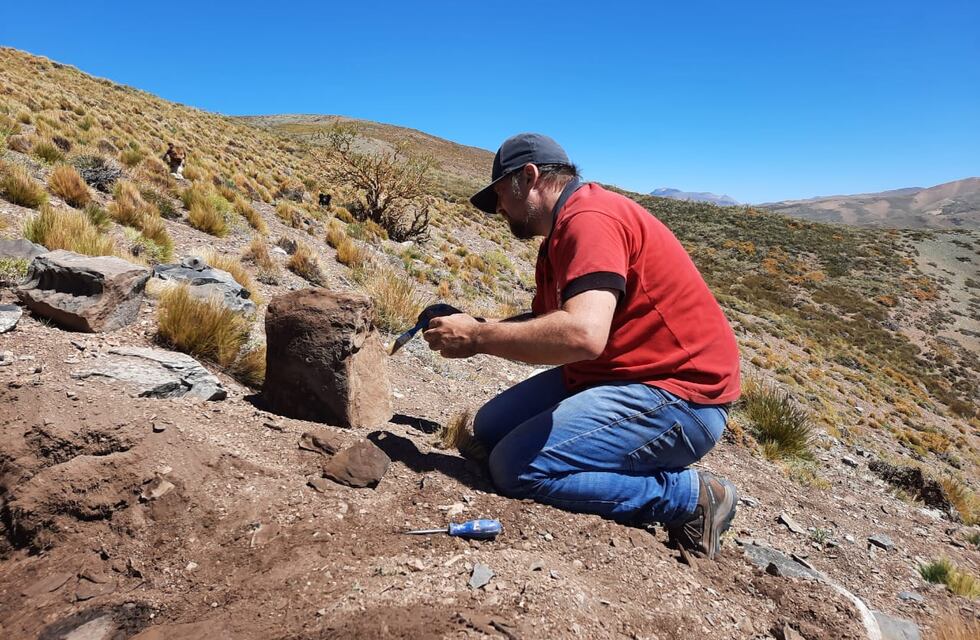 Encontraron restos de reptiles marinos gigantes que habitaron Malargüe hace millones de años