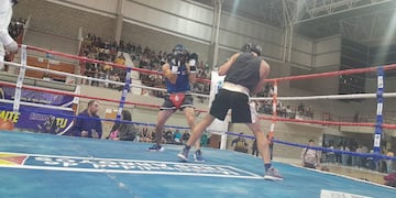 Festival de boxeo amateur en el Polideportivo Municipal
