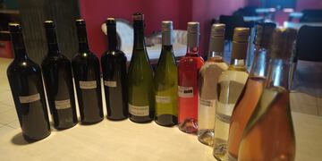Pietrasanta Wines desde Arroyito