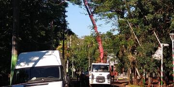 Gran parte del norte de Misiones está sin energía eléctrica.