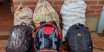 Tres menores demorados por robo de cítricos en Colonia Mado.