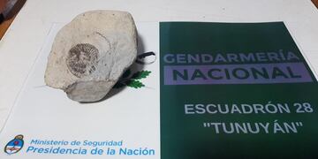 La roca paleontológica incautada de un vehpiculo pro Gendarmería Nacional en San Carlos.