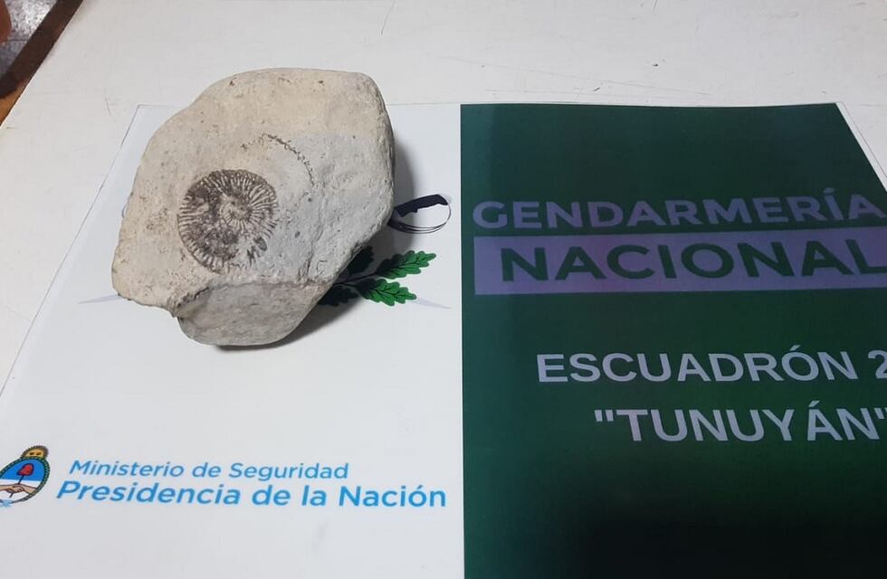 Gendarmería incautó una pieza arqueológica que llevaban en un vehículo en San Carlos
