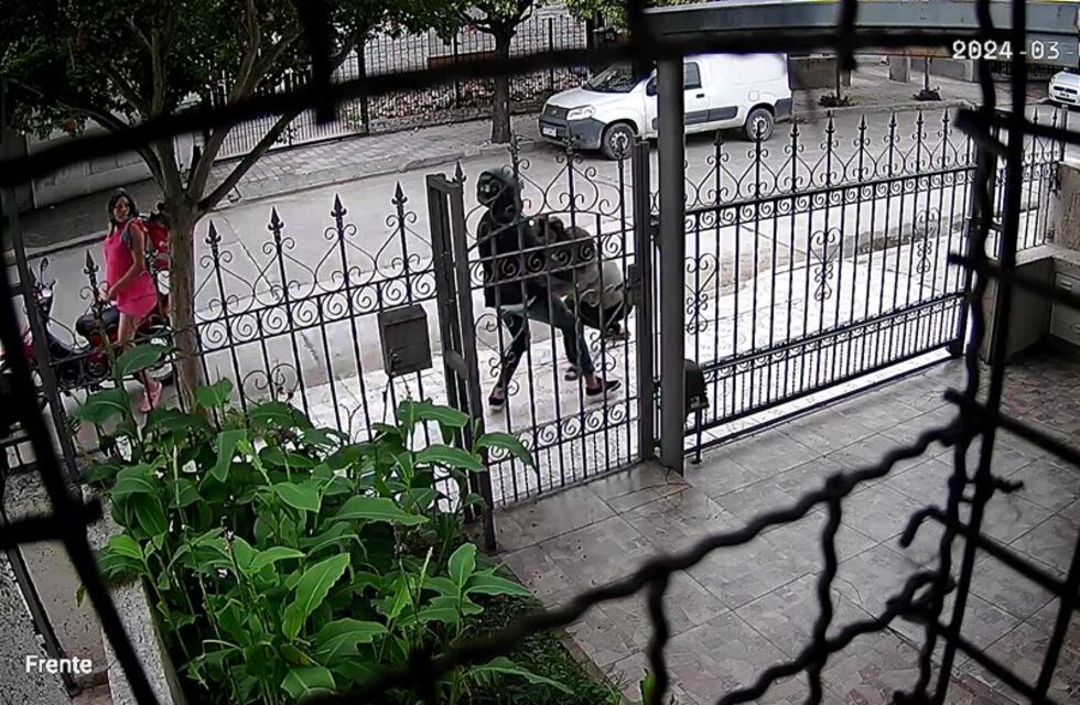 Los graves antecedentes de la mujer embarazada que salió a robar en moto: irá a juicio