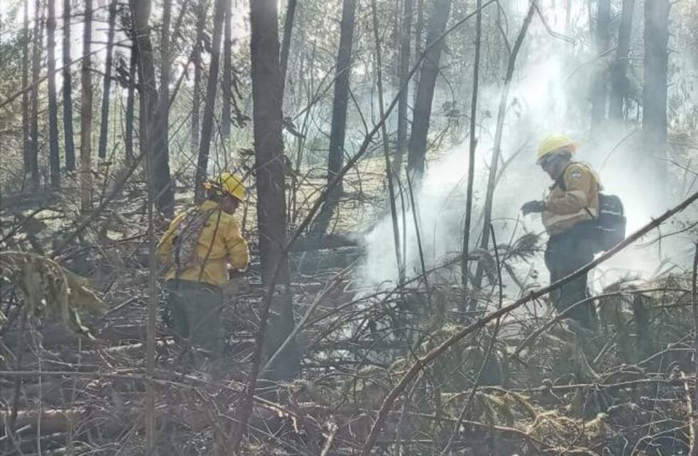 El Siambón: brigadistas combatieron un importante incendio forestal