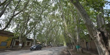 Colonia Caroya conmovida por el fallecimiento del carpintero. (José Hernández/Archivo/La Voz)