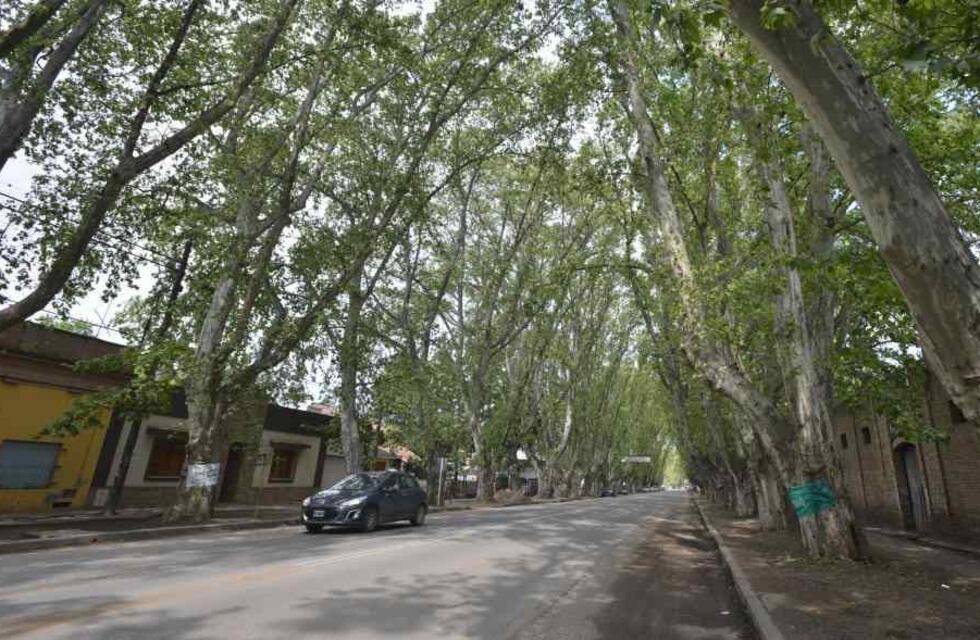 Accidente fatal en Colonia Caroya: un hombre de 52 años falleció tras caer del techo de una obra