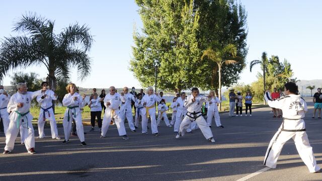 Torneo Nacional de Judo.