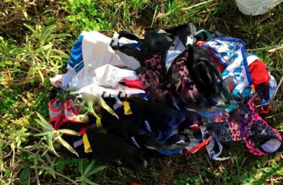 Nogoyá: un productor entrerriano encontró 2 bolsas llenas de tangas de colores en su campo