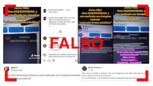 La historia clínica de Javier Milei que aparece en este video sobre una web del Ministerio de Salud es falsa.