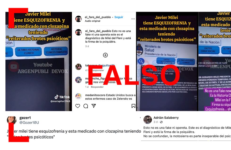 Es falso el video que muestra la historia clínica de Javier Milei en una web del Ministerio de Salud