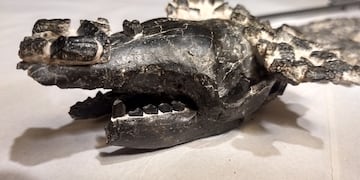 Los restos estaban a 9 metros de profundidad en una tosquera. (Museo de San Pedro)