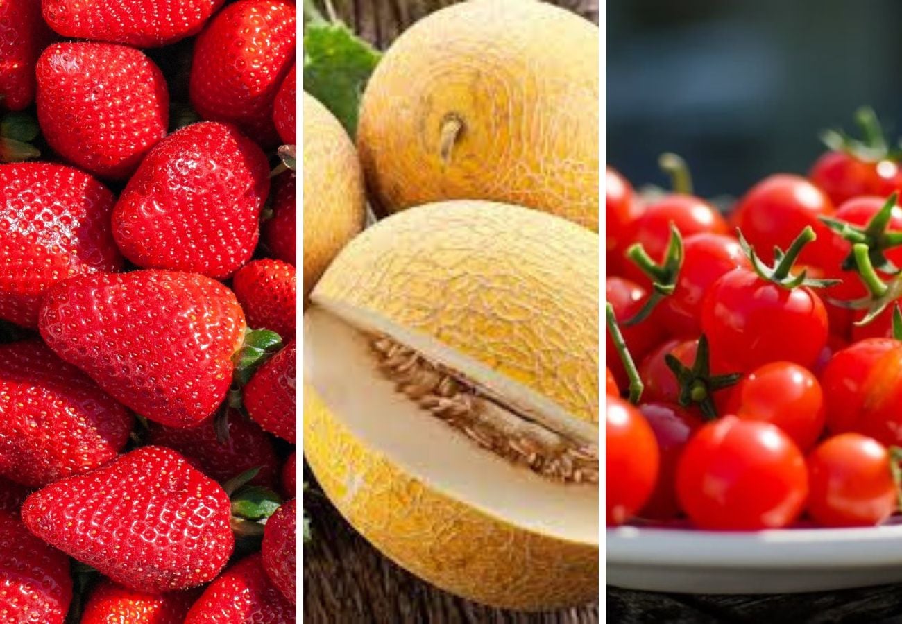 Cuáles son las plantas que se siembran en noviembre y dan frutas en verano