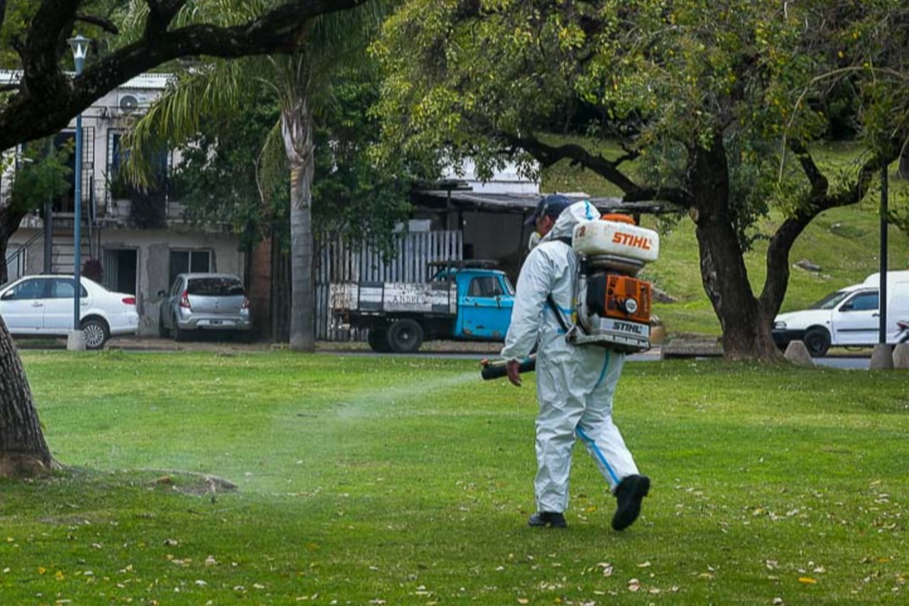 Los repelentes con DEET y las mosquiteras siguen siendo las mejores opciones para evitar picaduras en casa.
