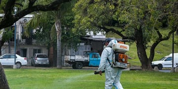La Municipalidad inició la campaña de fumigación contra mosquitos en la ciudad.