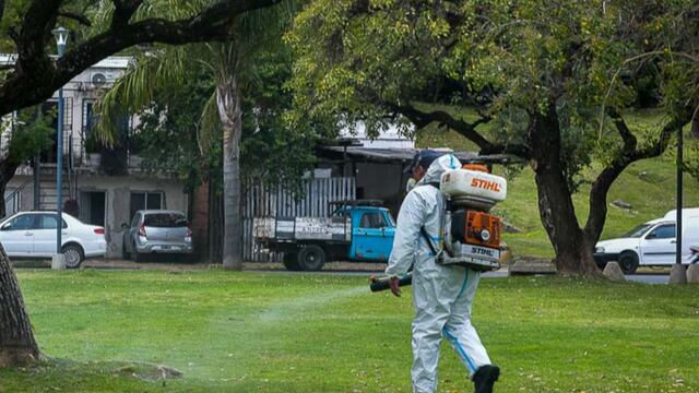 La Municipalidad inició la campaña de fumigación contra mosquitos en la ciudad.