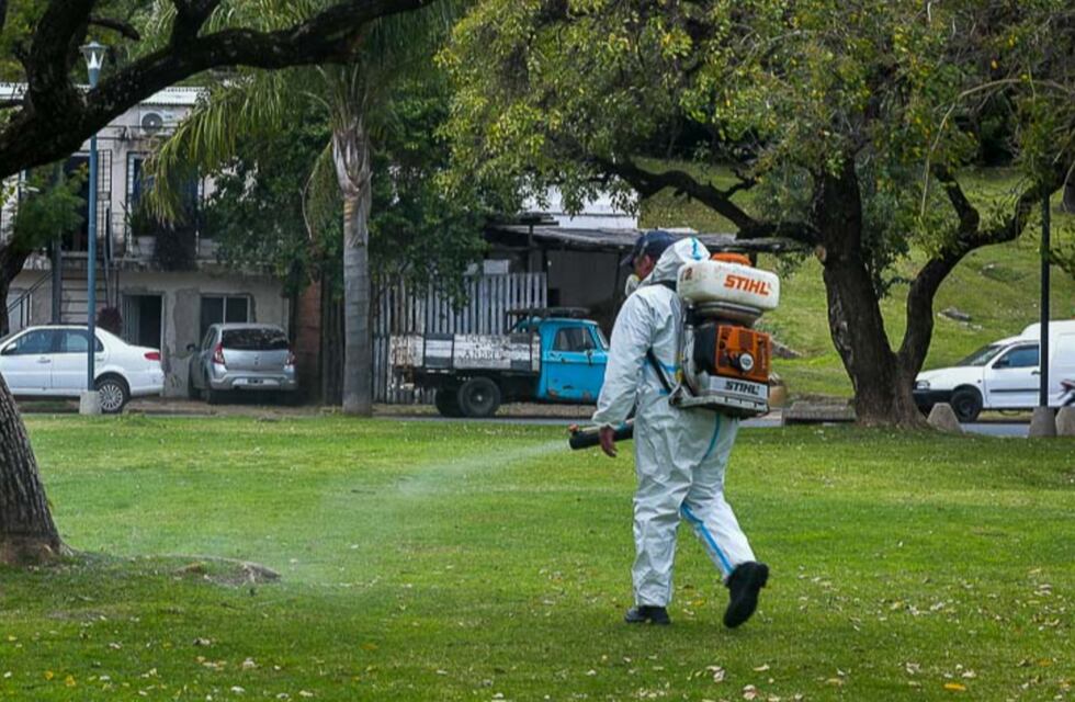 La Municipalidad inició la campaña de fumigación contra mosquitos en la ciudad