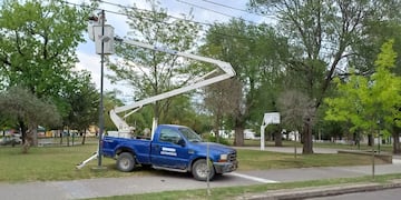Obras y Servicios Públicos de Tres Arroyos realiza tareas para optimizar el servicio eléctrico