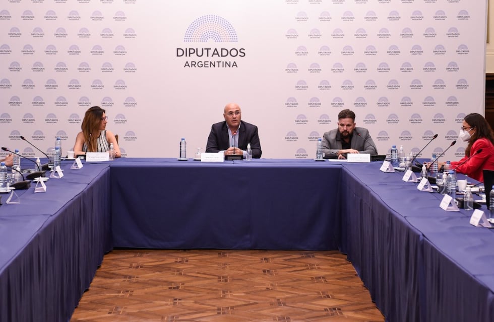 Diputados nacionales reciben información sobre litio y recursos estratégicos