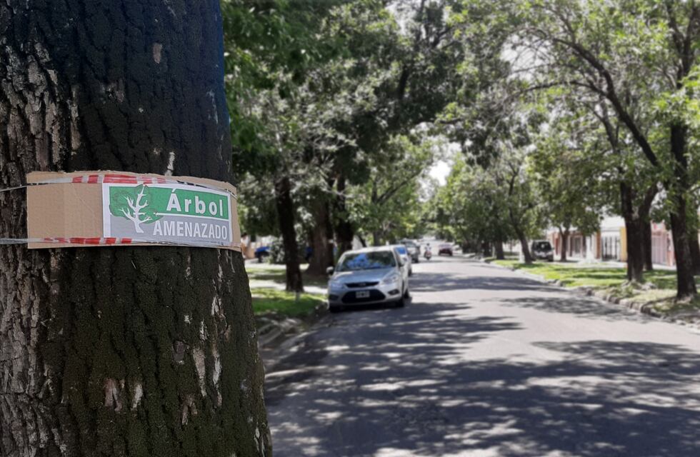 El Colegio de Arquitectos afirma que el proyecto de Bulevar Racedo se realizó “sin analizar el impacto socioambiental”