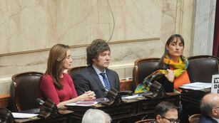 Javier Milei y Victoria Villarruel en la última sesión de la Cámara de Diputados (Foto: Federico López Claro)