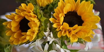Dónde ubicar las flores amarillas en el hogar.