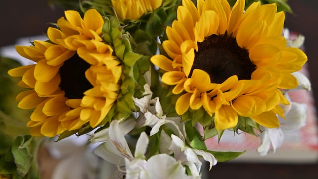 Dónde ubicar las flores amarillas en el hogar.