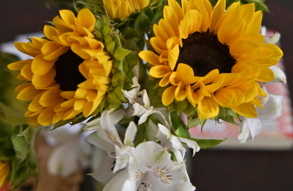 Cuál es el lugar para ubicar las flores amarillas en el hogar para atraer alegría, según el Feng Shui
