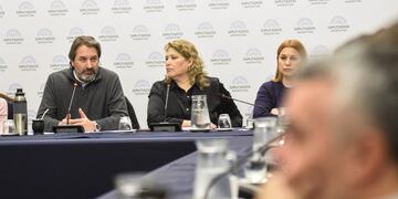 El diputado Pablo Carro (Unión por la Patria-Córdoba) encabezó el debate en el plenario de comisiones (Foto: HCDN)