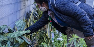 Se realizará en Posadas un nuevo Operativo LIRAa