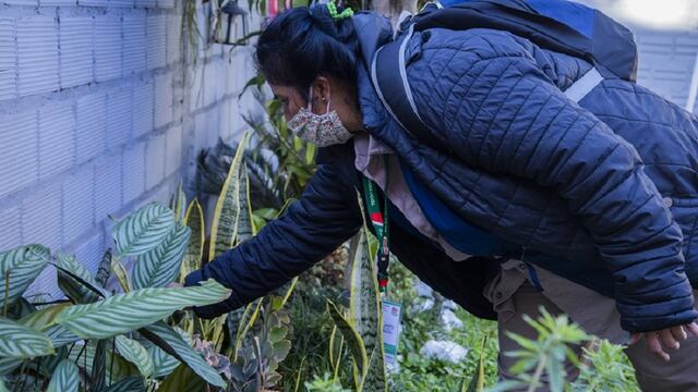 Se realizará en Posadas un nuevo Operativo LIRAa