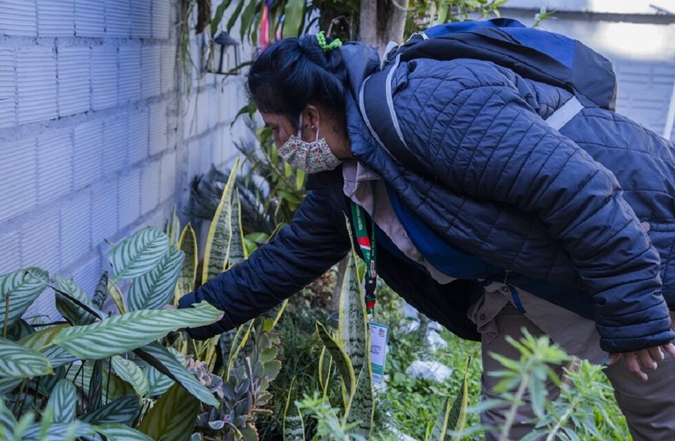 Posadas: nueva edición del LIRAa