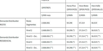 Resolución EPRE N.º 125/24