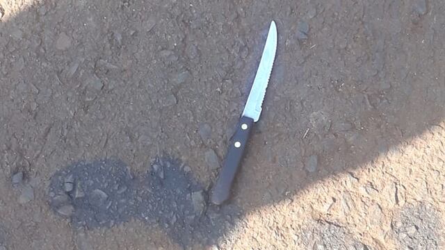 Dos menores de edad fueron demorados por hechos de robo.