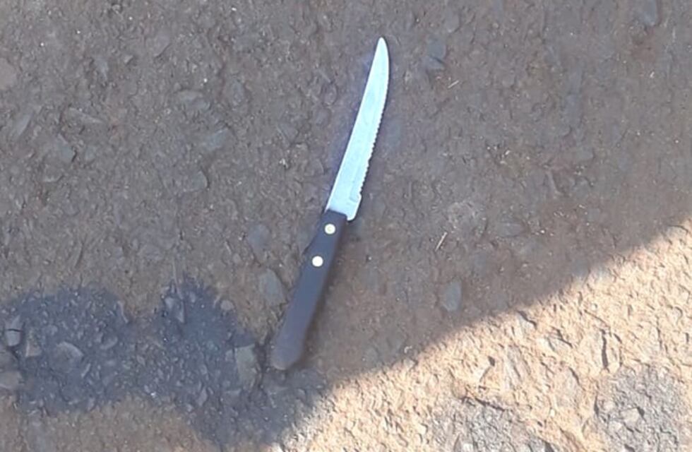 Dos menores de edad fueron demorados por hechos de robo