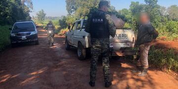 Secuestran cosecha ilegal de hoja verde en San Vicente.