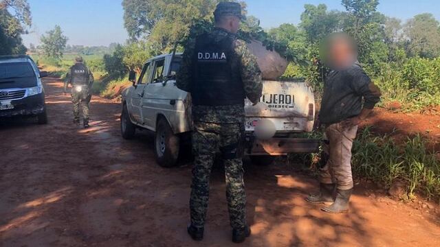 Secuestran cosecha ilegal de hoja verde en San Vicente.